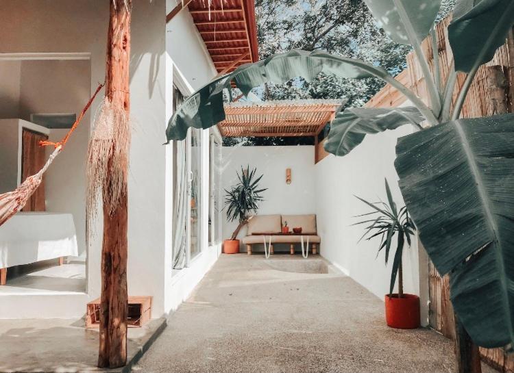 Ayampe Lofts - Private Terraceアパートメント エクステリア 写真
